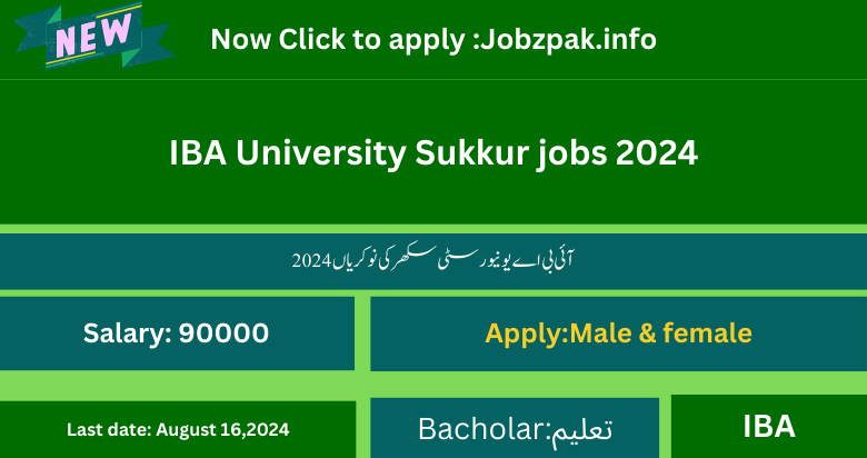 IBA University Sukkur jobs 2024