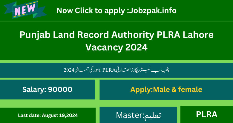 Punjab Land Record Authority PLRA Lahore Vacancy 2024