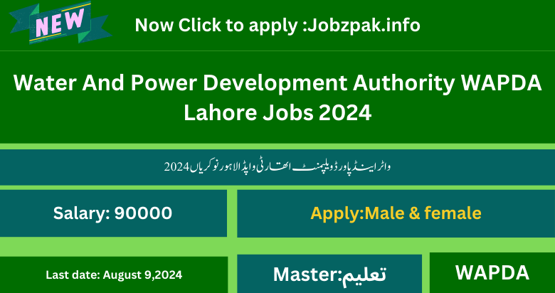 Water And Power Development Authority WAPDA Lahore Jobs 2024