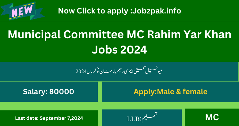 Municipal Committee MC Rahim Yar Khan Jobs 2024