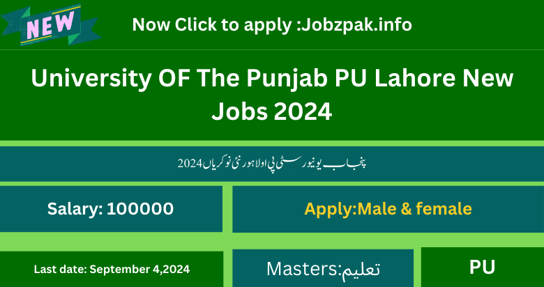 University OF The Punjab PU Lahore New Jobs 2024