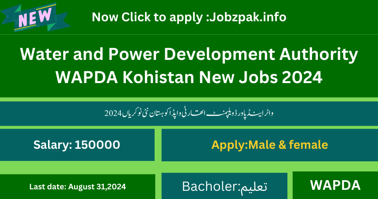 Water and Power Development Authority WAPDA Kohistan New Jobs 2024