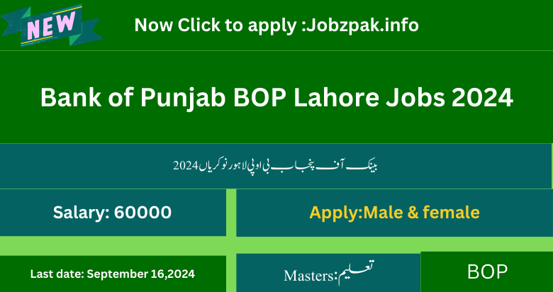 Bank of Punjab BOP Lahore Jobs 2024