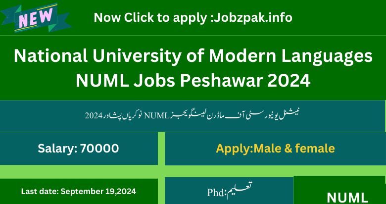 National University of Modern Languages NUML Jobs Peshawar 2024