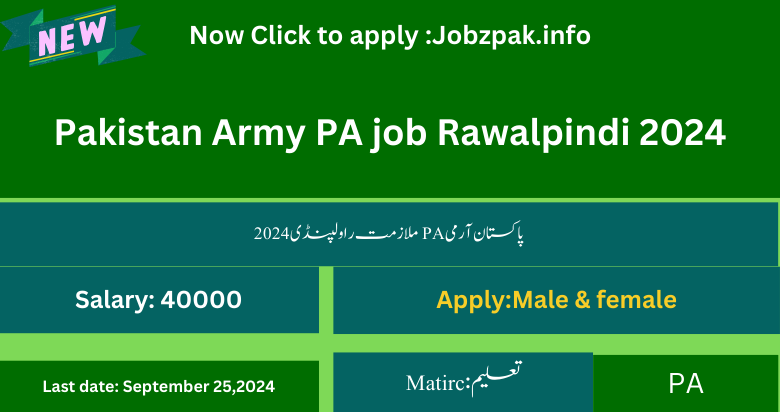 Pakistan Army PA job Rawalpindi 2024