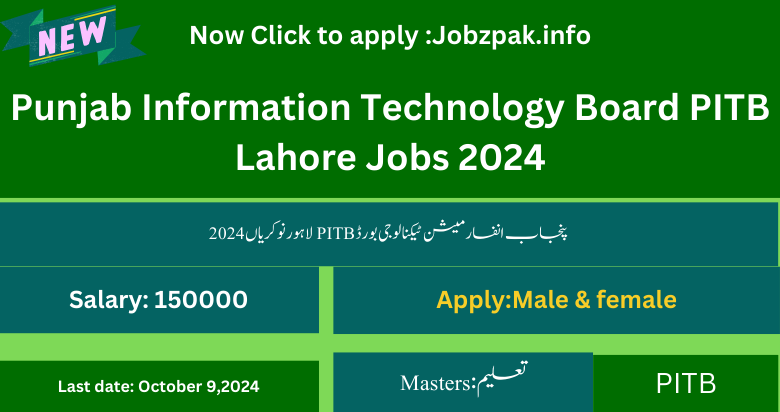 Punjab Information Technology Board PITB Lahore Jobs 2024