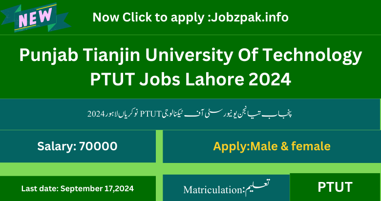 Punjab Tianjin University Of Technology PTUT Jobs Lahore 2024