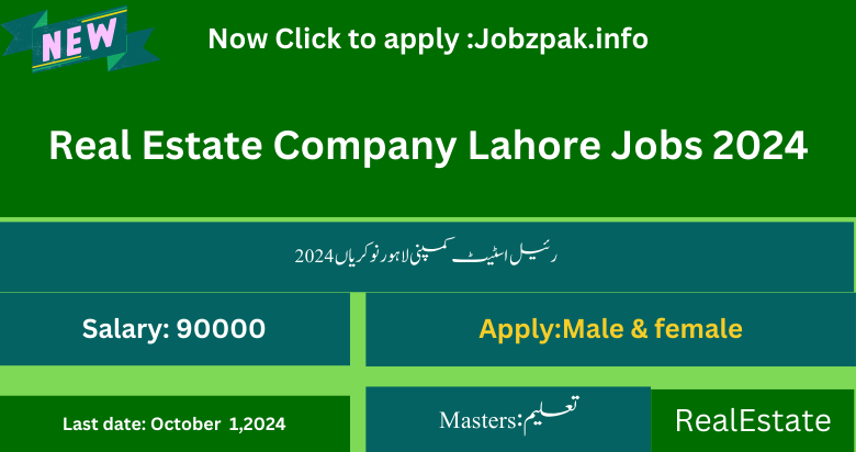 Real Estate Company Lahore Jobs 2024