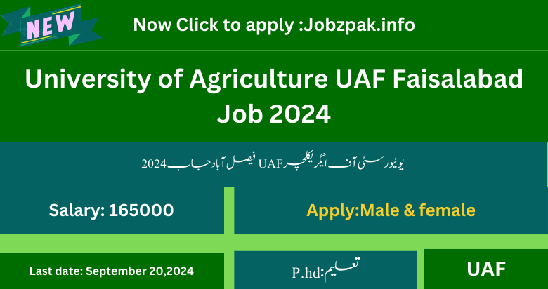 University of Agriculture UAF Faisalabad Job 2024