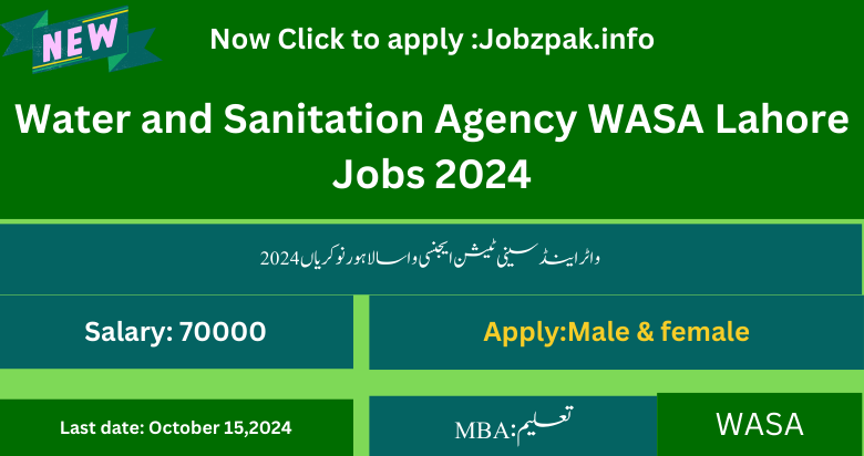 Water and Sanitation Agency WASA Lahore Jobs 2024