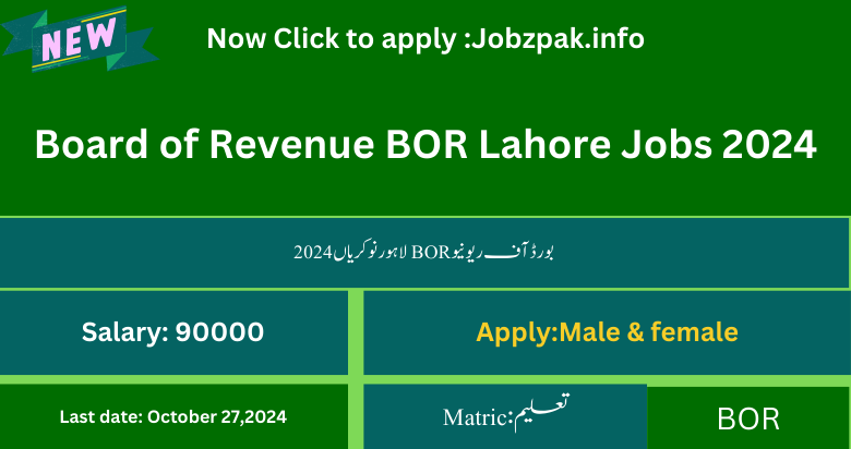 Board of Revenue BOR Lahore Jobs 2024