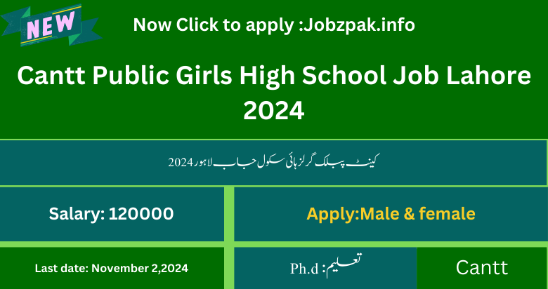 Cantt Public Girls High School Job Lahore 2024