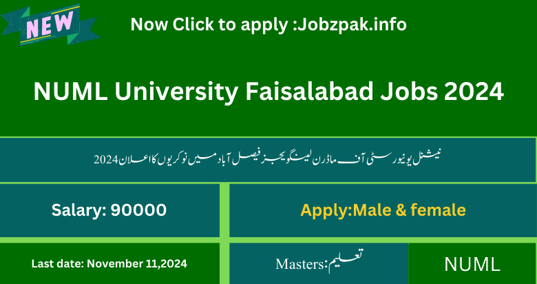 NUML University Faisalabad Jobs 2024