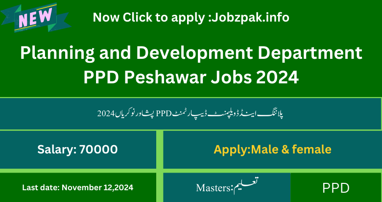 Planning and Development Department PPD Peshawar Jobs 2024