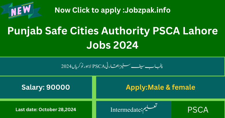 Punjab Safe Cities Authority PSCA Lahore Jobs 2024