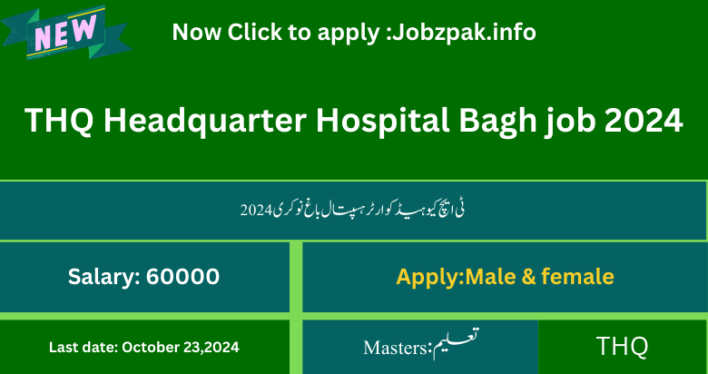 THQ Headquarter Hospital Bagh job 2024