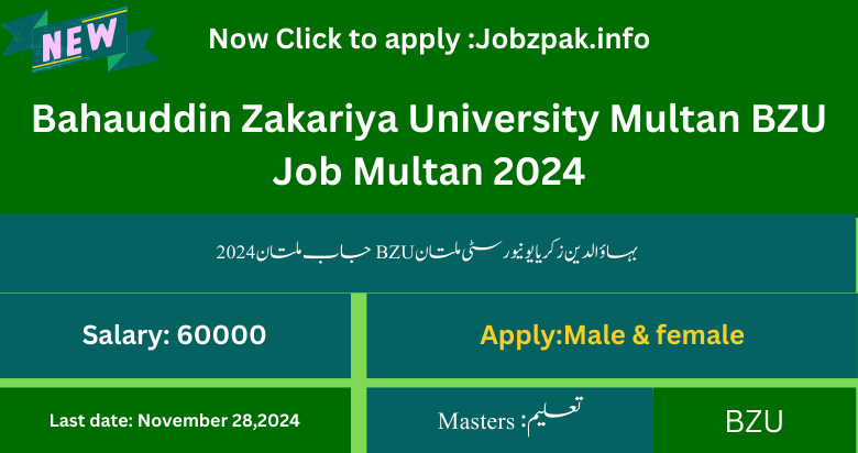 Bahauddin Zakariya University Multan BZU Job Multan 2024