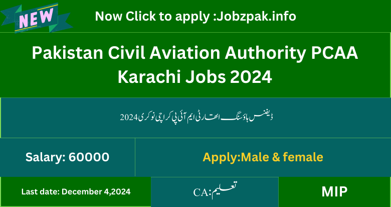 Defence Housing Authority MIP Karachi Job 2024