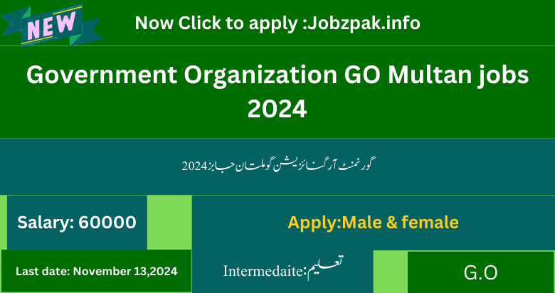 Government Organization GO Multan jobs 2024