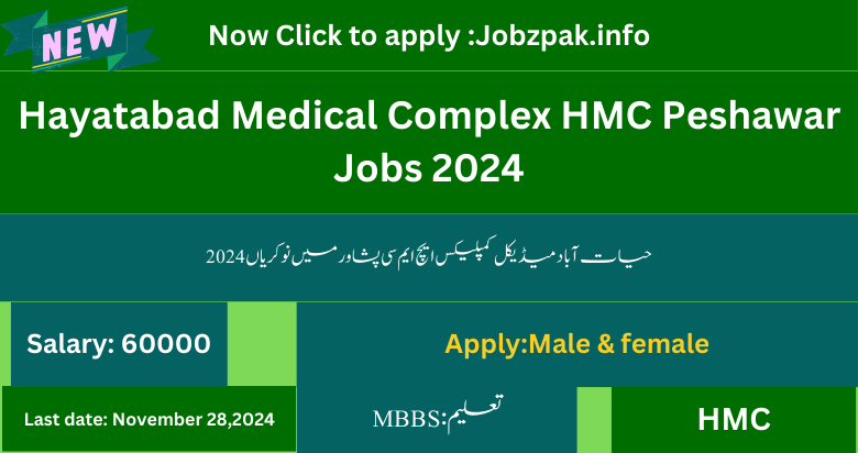 Hayatabad Medical Complex HMC Peshawar Jobs 2024