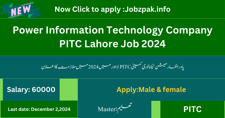 Power Information Technology Company PITC Lahore Job 2024