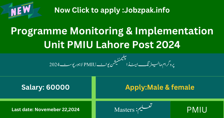 Programme Monitoring & Implementation Unit PMIU Lahore Post 2024