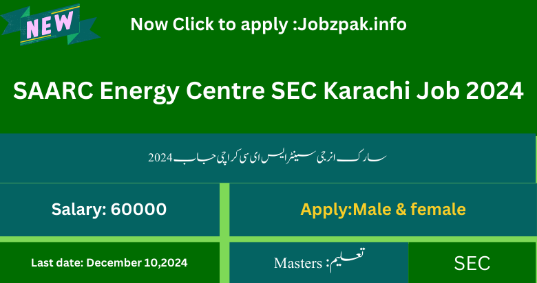 SAARC Energy Centre SEC Karachi Job 2024