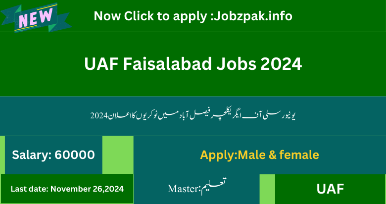 UAF Faisalabad Jobs 2024